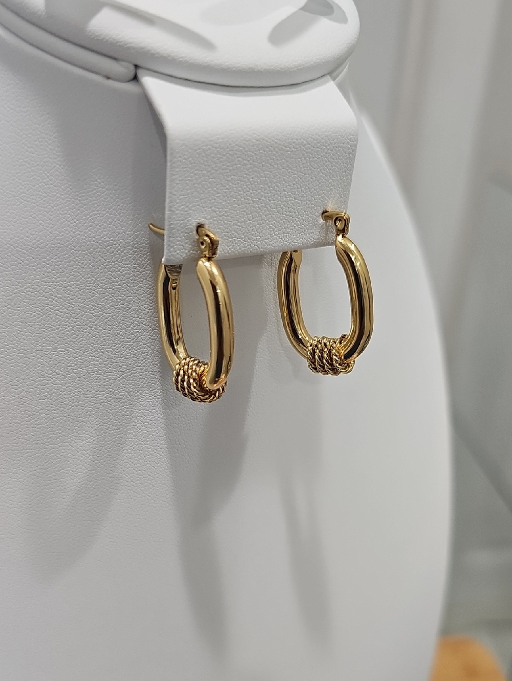 Gold Rope Accent Stainless Steel Hoop Earrings